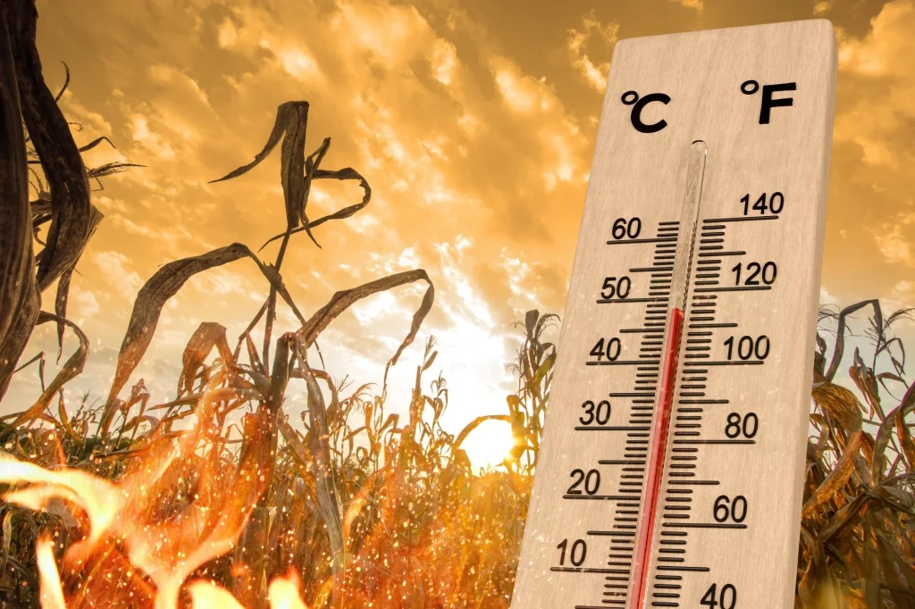 Ministria e Shëndetësisë: Kujdes nga temperaturat e larta!