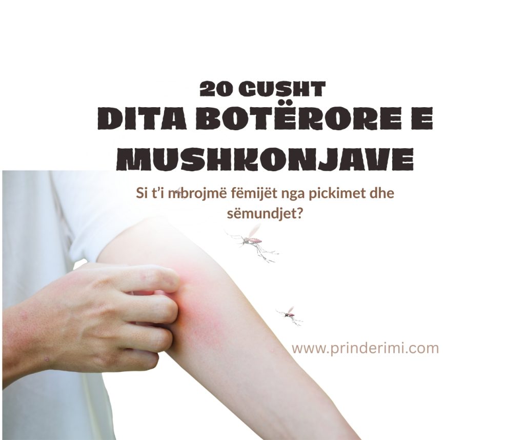 Dita Botërore e Mushkonjave: Si t’i mbrojmë fëmijët nga sëmundjet që transmetojnë mushkonjat
