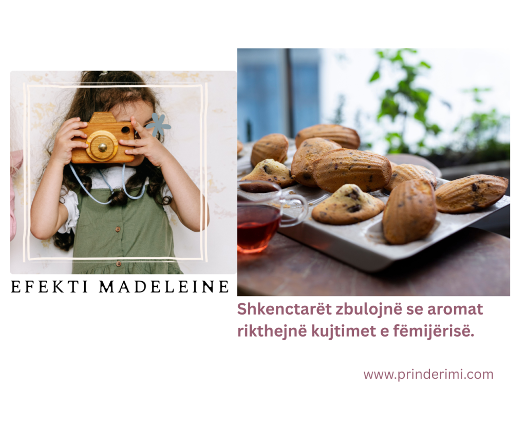 Efekti Madeleine: Neuroshkencëtarët zbulojnë se si aromat rikthejnë kujtimet e fëmijërisë