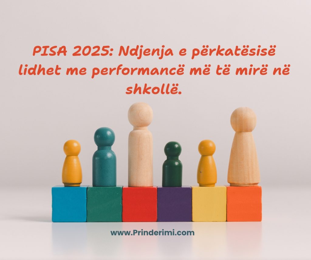 Rezultatet e PISA-s: Përkatësia e fëmijëve në shkollë ndikon paralelisht në mënyrën se si ata mësojnë