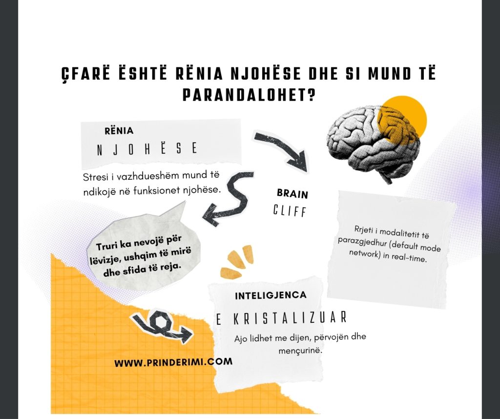 Si ta mbajmë trurin të ri: Çfarë e mbron trurin nga rënia njohëse?